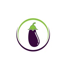 egg plant icon vetor illustration design