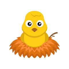 cute chick, baby chicken character design illustration