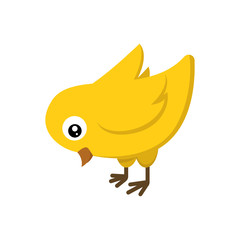 cute chick, baby chicken character design illustration