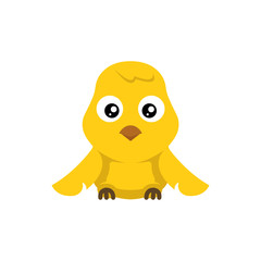 cute chick, baby chicken character design illustration