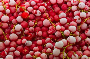 texture frozen in the shock freezing of berries of red currant covered with hoarfrost