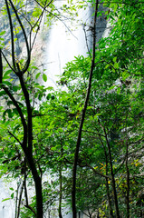 Obraz premium • Waterfall in Zhangjiajie Grand Canyon, Hunan province. The water flows down from the mountain peak to the canyon. The silk-like smooth water, the cliff, the trees, the blue sky and the reflection ar