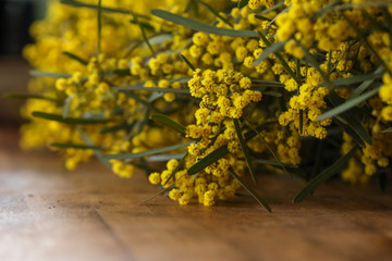 Bunch of yellow wattle blossom on wooden table with copy space
