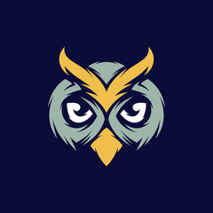 Colorful concentrated wise owl template in vintage style