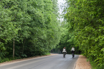 People riding bicycles in summer park