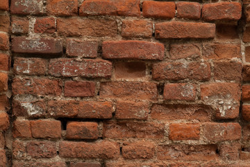 Vintage brick texture  wall background texture