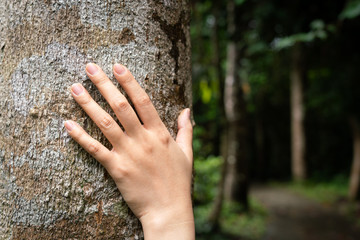 Human hand placed on the tree's trunk with the route ahead in darkness environment as blurred background. Adventure travel or loss in the jungle, horror scene concept photo.