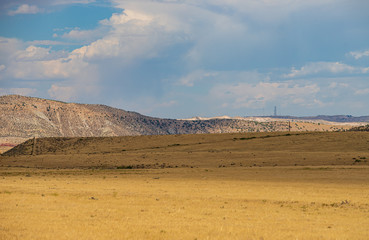 summer landscape with open field