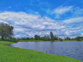summer landscape with lake and trees