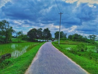 Fototapeta na wymiar rural road in the countryside