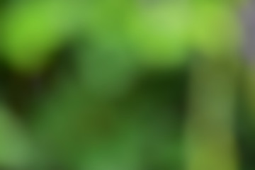 Natural colours abstract and background.