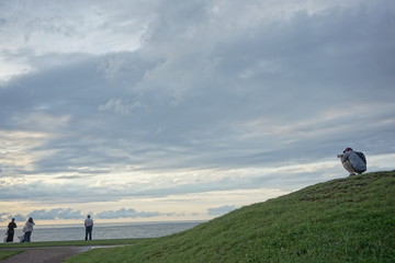 Obraz premium Sunset. Beautiful sunset at Japanese sea. Gold sea sunset. Picture Sea sunset.