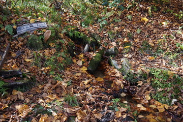 An amazing autumn season landscape of  Japanese mountains, Nagano, Japan, national nature park