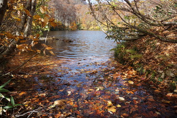 An amazing autumn season landscape of  Japanese mountains, Nagano, Japan, national nature park