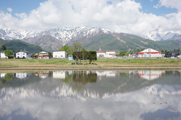 Fototapeta na wymiar Mountains reflected on rice fields in the Japanese Alps, Hakuba, Japan 