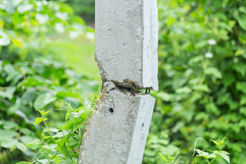Light pole broken from car crash accident.