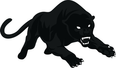 Aggressive Black Panther attacking the prey © DKG1111