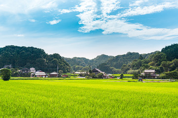 日本の田舎の風景