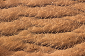 Sand Texture.