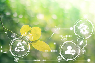 Internet of things Futuristic ai technology with alternative medicine concept. Natural herbal remedies. Organic pharmaceuticals, Smart virtual screen interface on blurred gentle nature background.