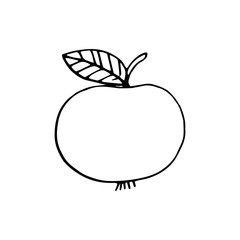 apple hand drawn in doodle style. single element for design sticker, poster, card, icon. vector, scandinavian, hygge, monochrome. summer, autumn, harvest fruit, food