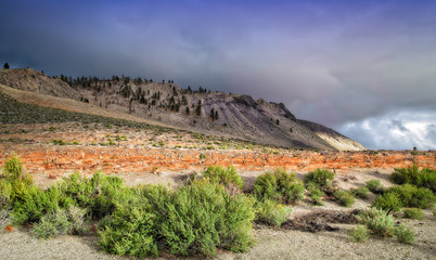 Colors of the Desert