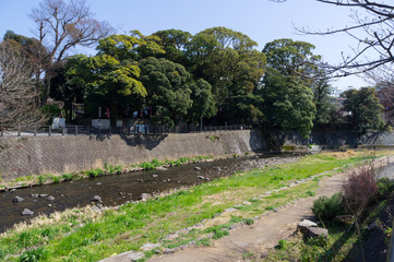 伊東市の松川遊歩道