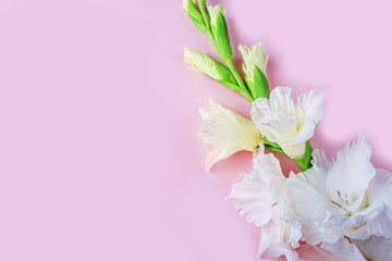 Flat lay layout with beautiful white gladiolus flowers on pastel pink background. Invitation greeting card for Mothers, Father or Grandparent's Day. Copy space for text