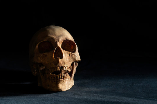 Single skull put on the black table and black wall in morgue room dim light