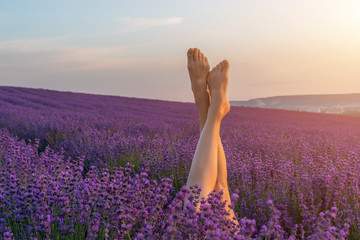 Selective focus. The girls legs stick out of the lavender bushes, warm sunset light. Bushes of...