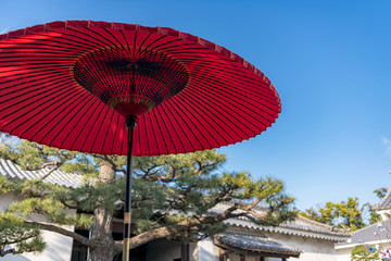 庭園の野点傘