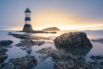 Rolgordijnen Seaweed, rocks, lighthouse and an island at sunset in the UK © Kris