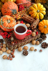 Obraz na płótnie Canvas cup of tea, pumpkins, nuts, cones. autumn season background. Thanksgiving, fall harvest concept