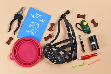 Concept of travelling with dogs with made up blue dog passport next to various dog supplies...