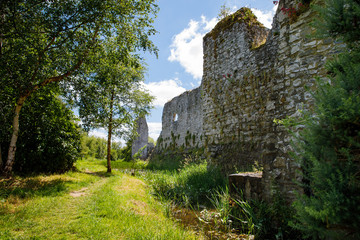 Fototapeta na wymiar A panoramic view of Trim castle in County Meath on the River Boyne, Ireland. It is the largest Anglo-Norman Castle in Ireland