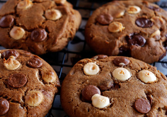 homemade chocolate chip cookies