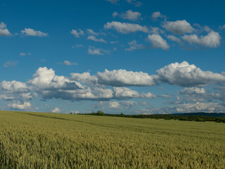 Obraz premium Landschaft im Sommer