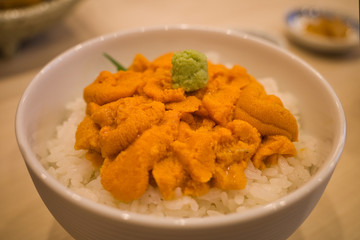 北海道 函館のウニ丼