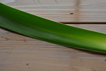 There is a green grass on the board.