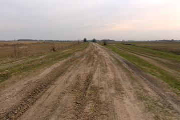 Fototapeta na wymiar Dirt road among fields on a spring evening.