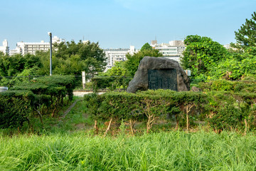 Fototapeta na wymiar 西郷山公園