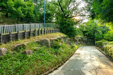 Fototapeta na wymiar 西郷山公園