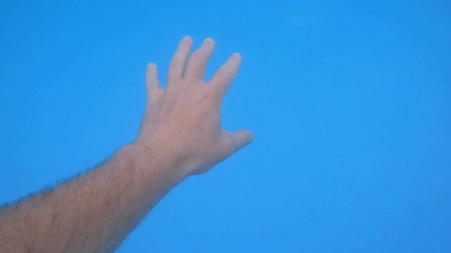 Underwater recording - Showing bare hand in murky swimming pool water with blue liner.