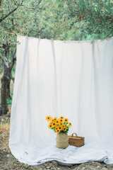 Hanging textile white cloth in olive garden. Decoration and background for photo. Straw basket with yellow flowers.