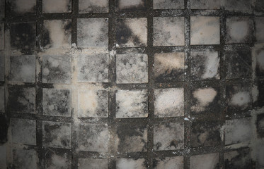 Tile floor texture pattern for background, thallophytic plant.