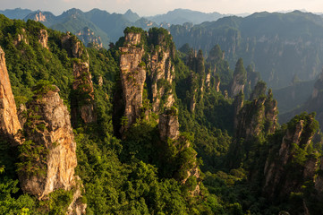 mountains in Zhangjiajie national park, China