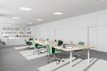 White modern company office with bookcase