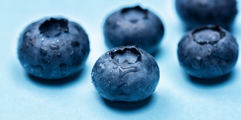 Blueberry fruit macro with dew drops background. 