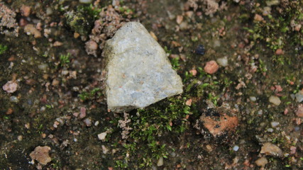 stone on the ground