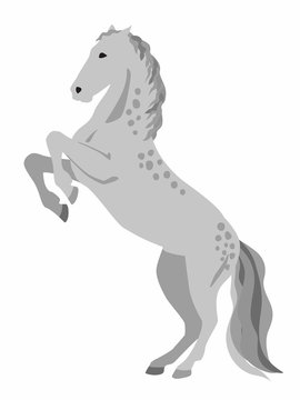 A gray horse on its hind legs. Vector graphics. Isolated image